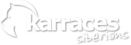 Karraces Siberians - Logo